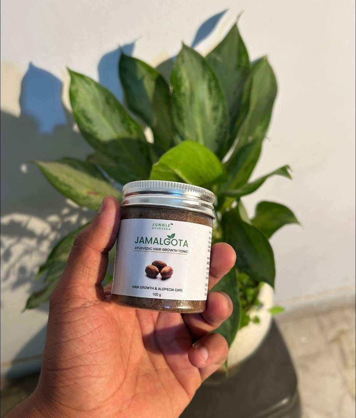 Jamalgota Ayurvedic