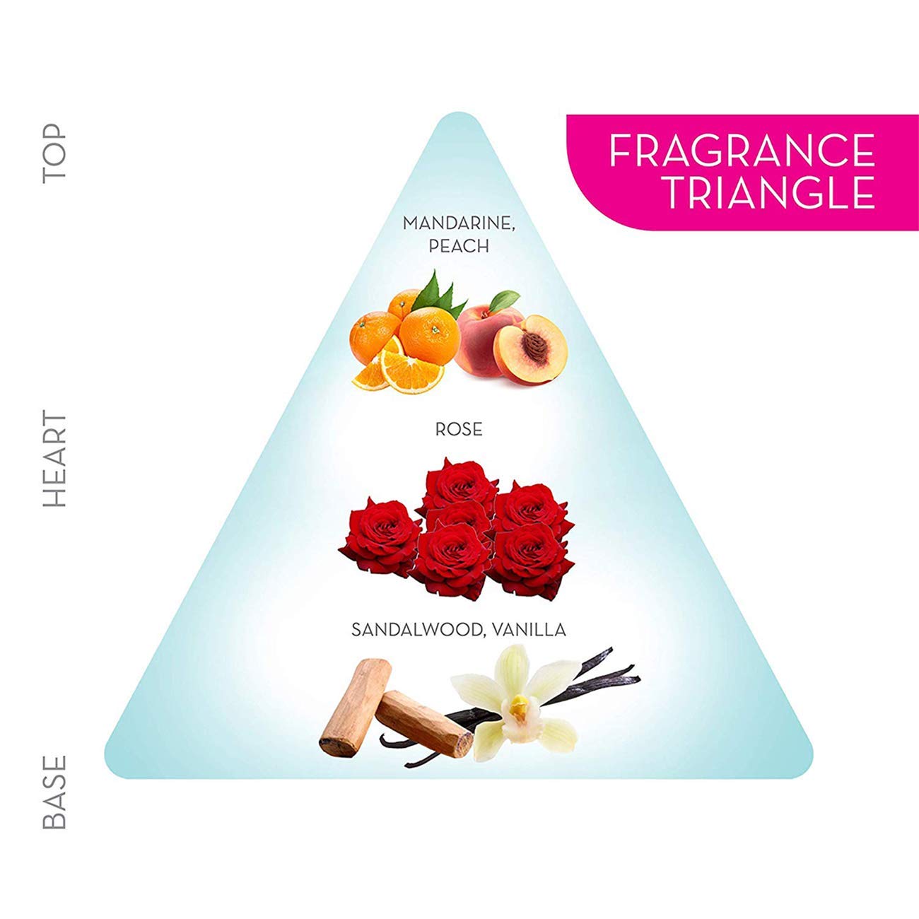 Engage W2 Perfume Spray For Women, Floral and Fruity, Skin Friendly, 120ml (Pack of 2)